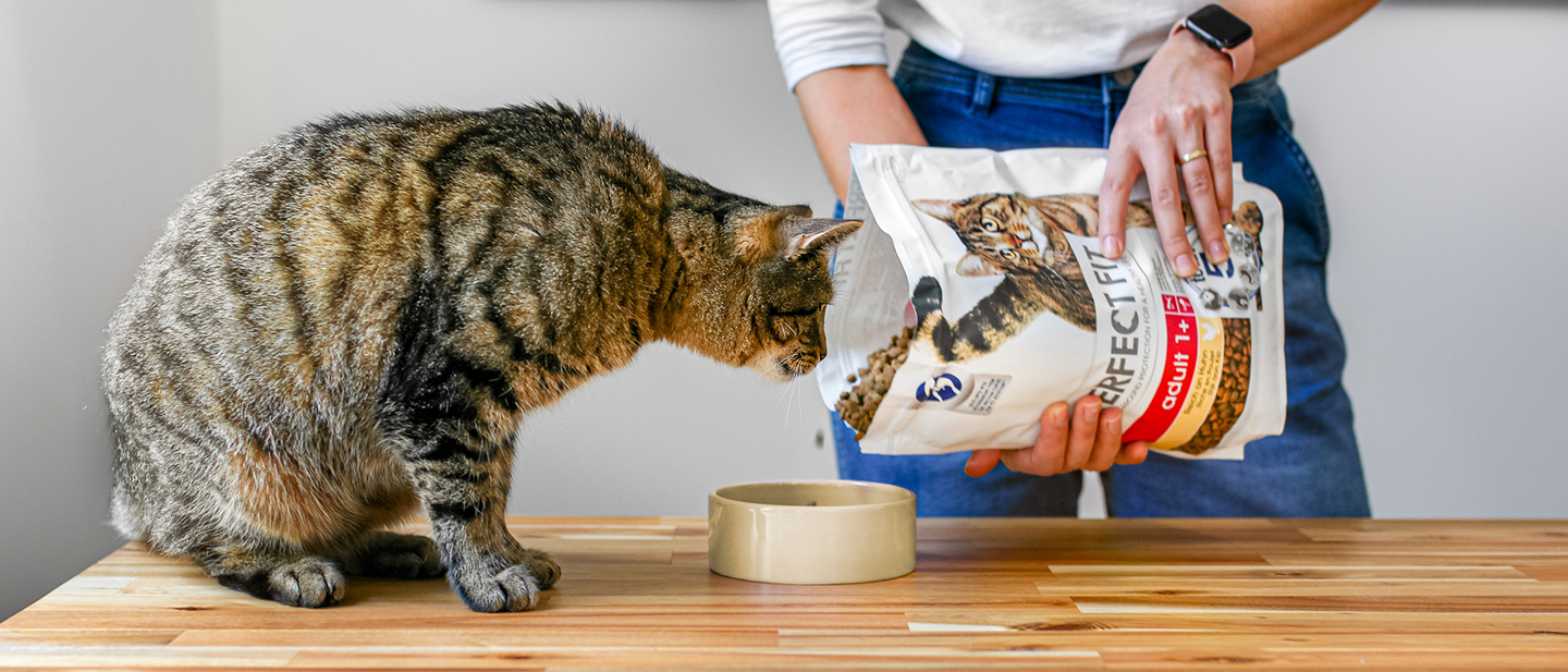 Wie viel Futter brauchen Katzen Futtermenge Tabelle Perfect Fit™